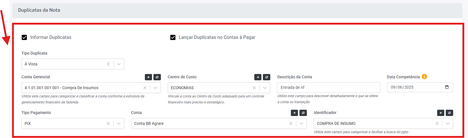 Captura de tela 2025-06-09 112049.png